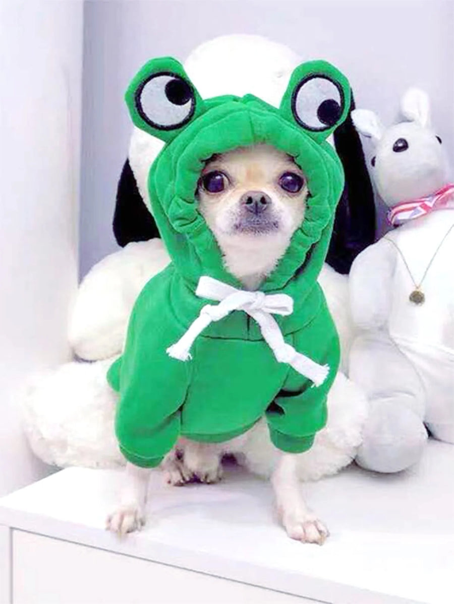 Roupa de Inverno para Pets | Moletom de Sapo Quentinho e Estiloso