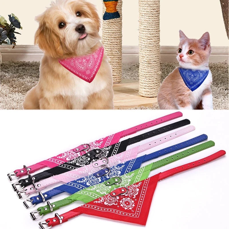 Coleira com Bandana Estilosa para Pets | Ajustável e Confortável