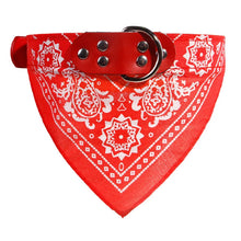Coleira com Bandana Estilosa para Pets | Ajustável e Confortável
