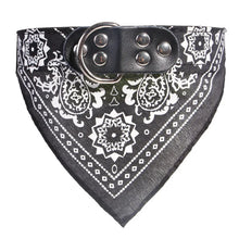 Coleira com Bandana Estilosa para Pets | Ajustável e Confortável