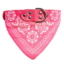 Coleira com Bandana Estilosa para Pets | Ajustável e Confortável