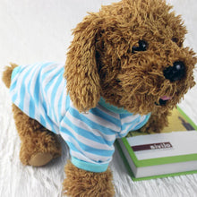 Camiseta Listrada para Pets | Roupa Leve e Confortável