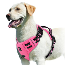 Peitoral Anti-Puxão para Cães | Mais Controle e Conforto nos Passeios