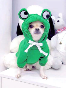 Roupa de Inverno para Pets | Moletom de Sapo Quentinho e Estiloso
