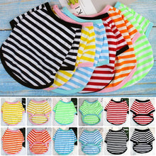 Camiseta Listrada para Pets | Roupa Leve e Confortável