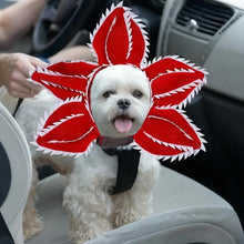Fantasia de Terror para Pets Cosplay | Tiara Floral Assustadora para Halloween DemonDog