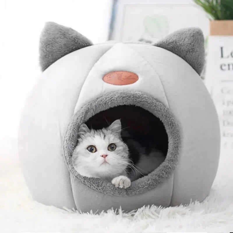 Caminha Toca para Pets | Mais Conforto e Segurança para o seu Pet
