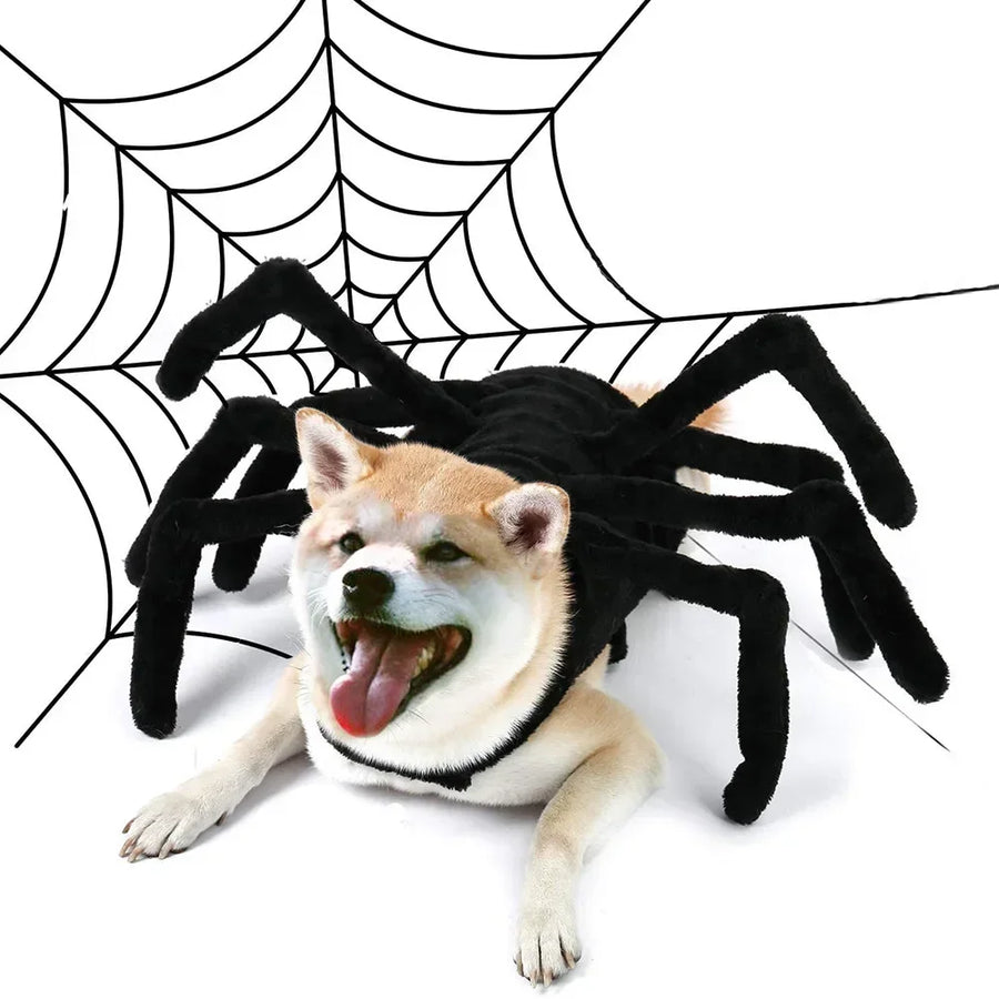 Fantasia de Aranha para Pets | Perfeita para Fotos e Diversão