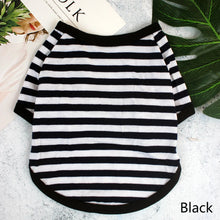 Camiseta Listrada para Pets | Roupa Leve e Confortável