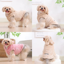 Moletom para Cachorros | Conforto e Proteção Contra o Frio