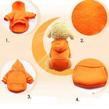 Moletom com Capuz para Cachorros | Conforto e Proteção no Frio