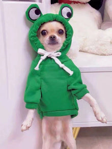 Roupa de Inverno para Pets | Moletom de Sapo Quentinho e Estiloso