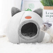 Caminha Toca para Pets | Mais Conforto e Segurança para o seu Pet