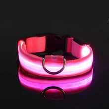 Coleira LED para Pets | Mais Segurança em Passeios Noturnos