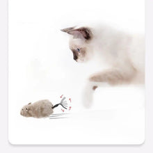 Ratinho de Brinquedo para Gatos | Diversão Garantida para seu Pet