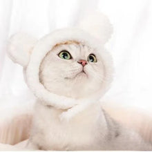 Touca Divertida para Pets | Deixe seu Pet Ainda Mais Fofo