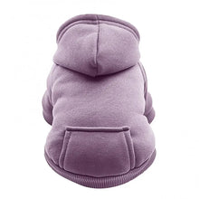 Moletom com Capuz para Cachorros | Conforto e Proteção no Frio