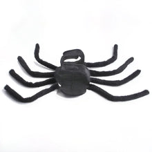 Fantasia de Aranha para Pets | Perfeita para Fotos e Diversão