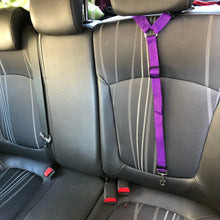 Cinto de Segurança para Cachorros | Evite Acidentes no Carro