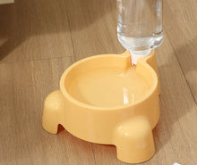 Bebedouro Automático para Pets com Garrafa Acoplada