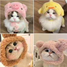 Touca Divertida para Pets | Deixe seu Pet Ainda Mais Fofo