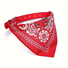 Coleira com Bandana Ajustável para Pets | Estilo e Conforto no Dia a Dia
