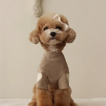 Moletom para Cães e Gatos | Roupa Quente e Estilosa para o Frio