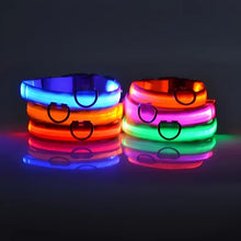Coleira LED para Pets | Mais Segurança em Passeios Noturnos