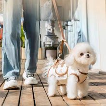 Bolsa de Transporte para Pets | Conforto e Segurança no Passeio