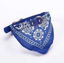 Coleira com Bandana Ajustável para Pets | Estilo e Conforto no Dia a Dia