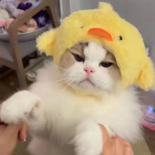 Chapéu Fofo para Pets | Fantasias Criativas para Fotos e Vídeos
