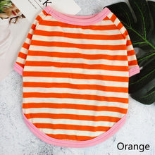 Camiseta Listrada para Pets | Roupa Leve e Confortável