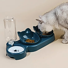 Comedouro e Bebedouro 3 em 1 para Pets | Design Inclinado e Água Automática