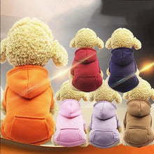 Moletom com Capuz para Cachorros | Conforto e Proteção no Frio