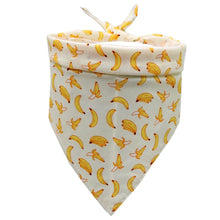 Bandana para Pets | Lenço Leve e Confortável para Uso Diário
