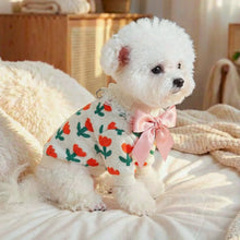 Suéter Floral para Pets | Roupa Quentinha com Laço e Argola para Guia
