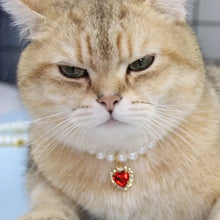 Coleira de Pérolas para Pets | Acessório Elegante para Cães e Gatos