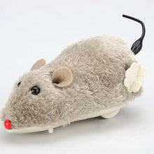 Ratinho de Brinquedo para Gatos | Diversão Garantida para seu Pet