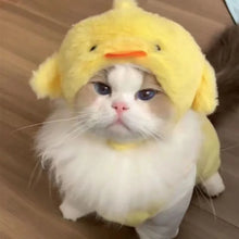 Chapéu Fofo para Pets | Fantasias Criativas para Fotos e Vídeos