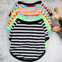 Camiseta Listrada para Pets | Roupa Leve e Confortável
