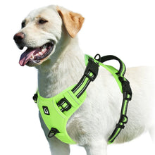 Peitoral Anti-Puxão para Cães | Mais Controle e Conforto nos Passeios