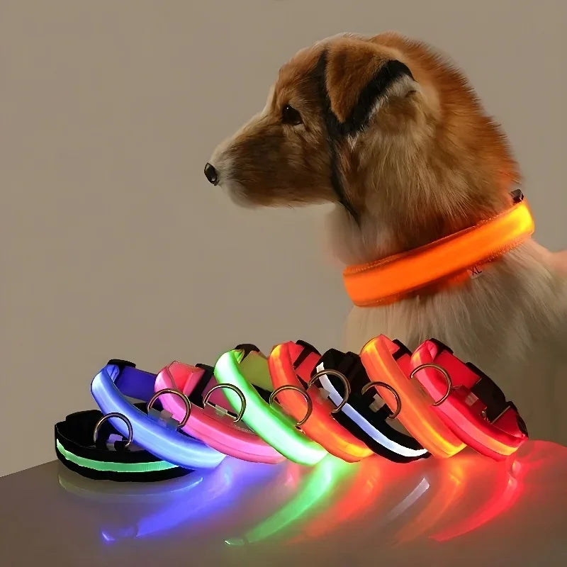 Coleira LED para Pets | Mais Segurança em Passeios Noturnos