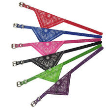Coleira com Bandana Ajustável para Pets | Estilo e Conforto no Dia a Dia