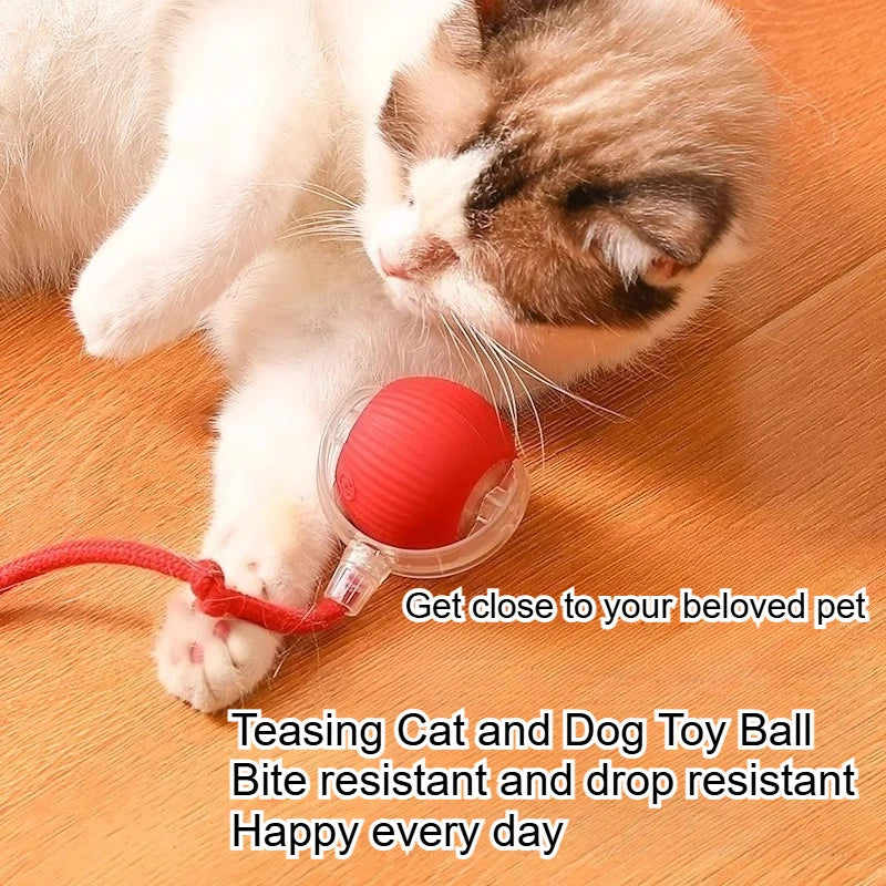 Brinquedo Interativo para Pets | Bola com Corda que Estimula seu Pet