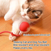 Brinquedo Interativo para Pets | Bola com Corda que Estimula seu Pet