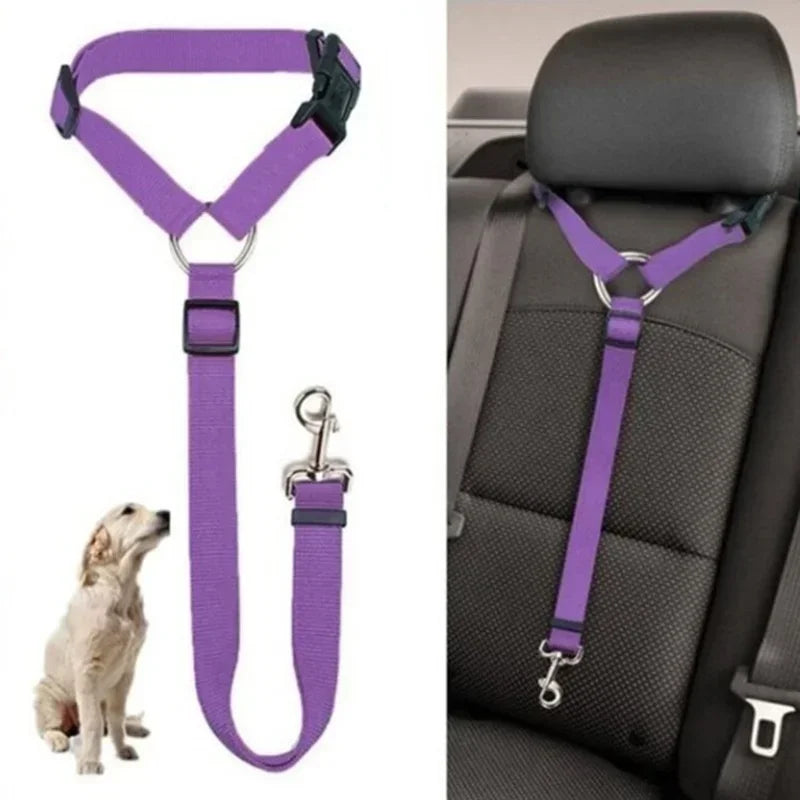 Cinto de Segurança para Cachorros | Evite Acidentes no Carro