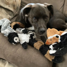 Brinquedo Sem Enchimento para Pets | Diversão com Som, Sem Fazer Sujeira e Super Resistente