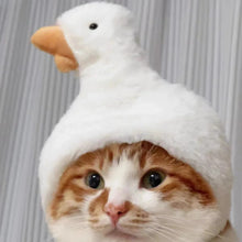 Touca Divertida para Pets | Deixe seu Pet Ainda Mais Fofo