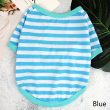 Camiseta Listrada para Pets | Roupa Leve e Confortável