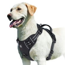 Peitoral Anti-Puxão para Cães | Mais Controle e Conforto nos Passeios
